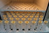 HEKA-Queen-Bee-Incubator "Queeny" with fully-automatic humidification