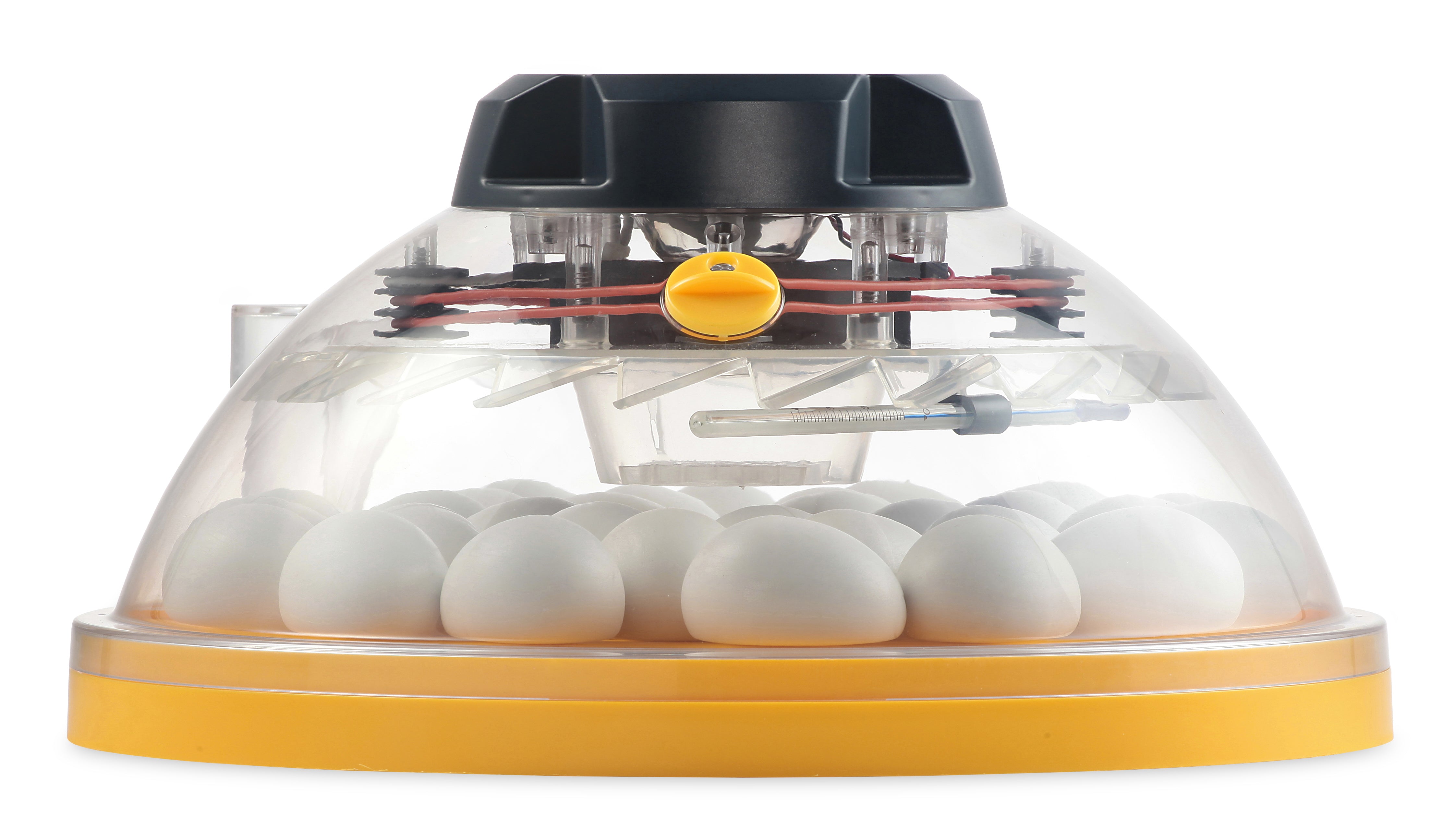 Egg-Incubator "Brinsea Maxi Eco"