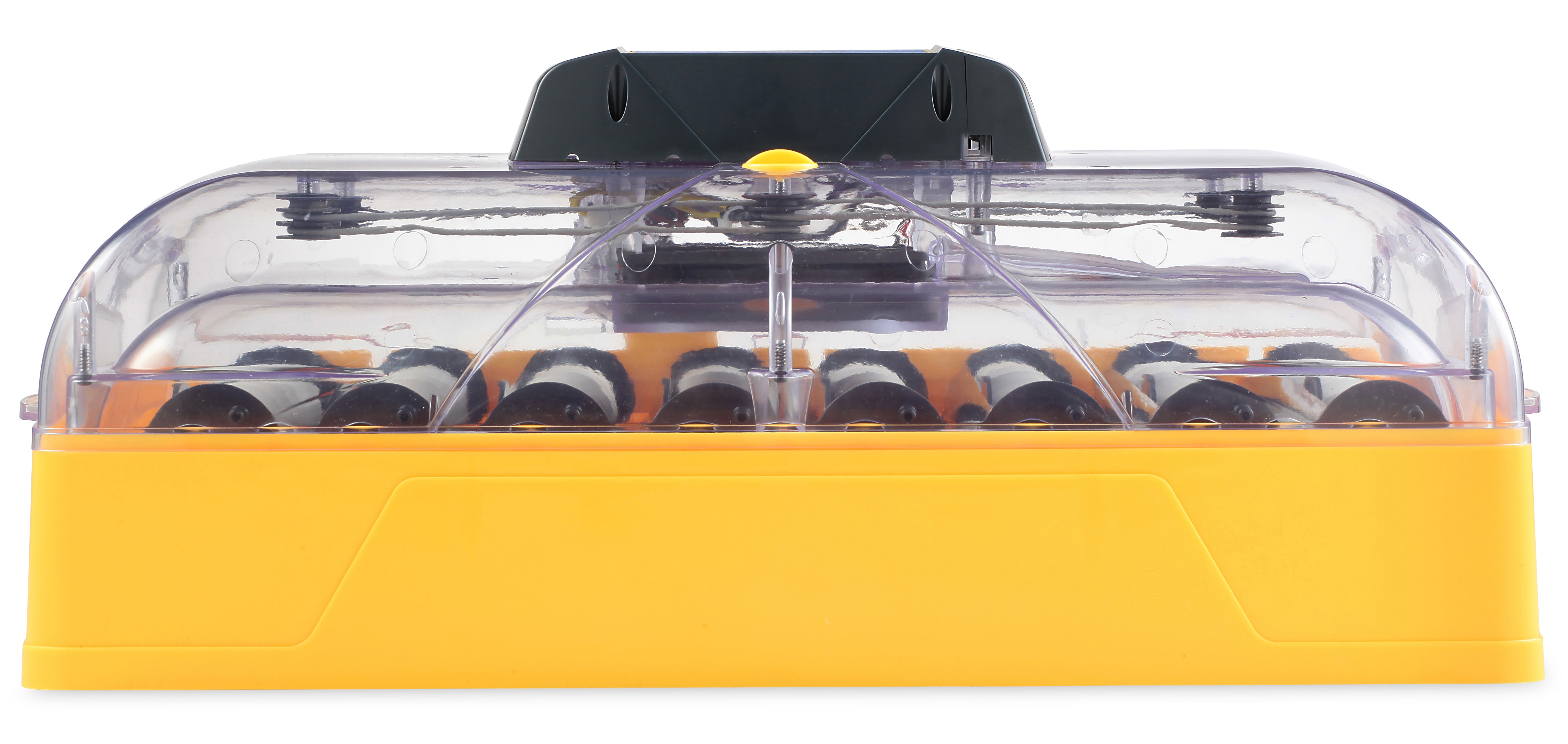 Egg-Incubator "Brinsea Ovation 56 Advance"