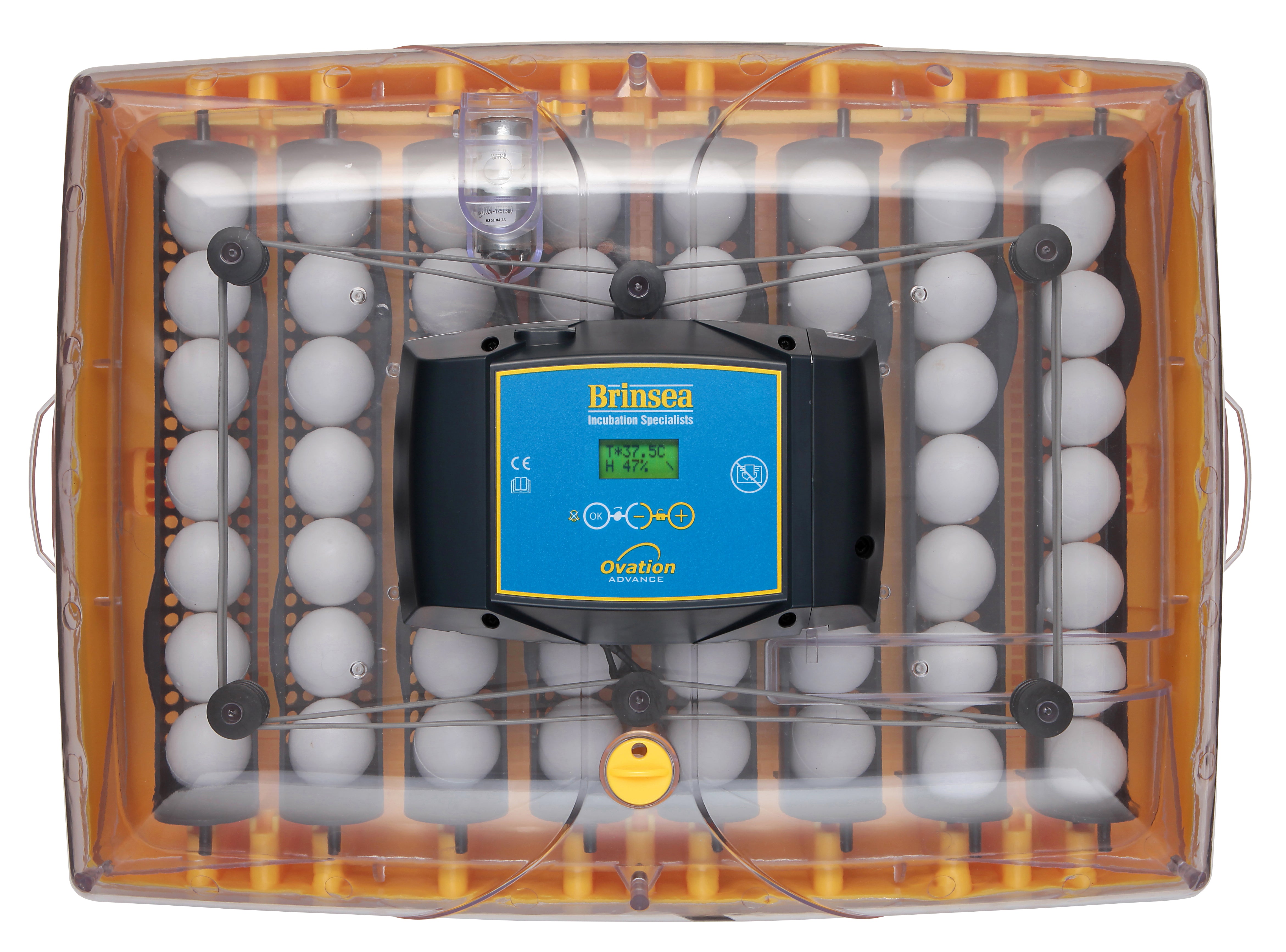 Egg-Incubator "Brinsea Ovation 56 Advance EX"