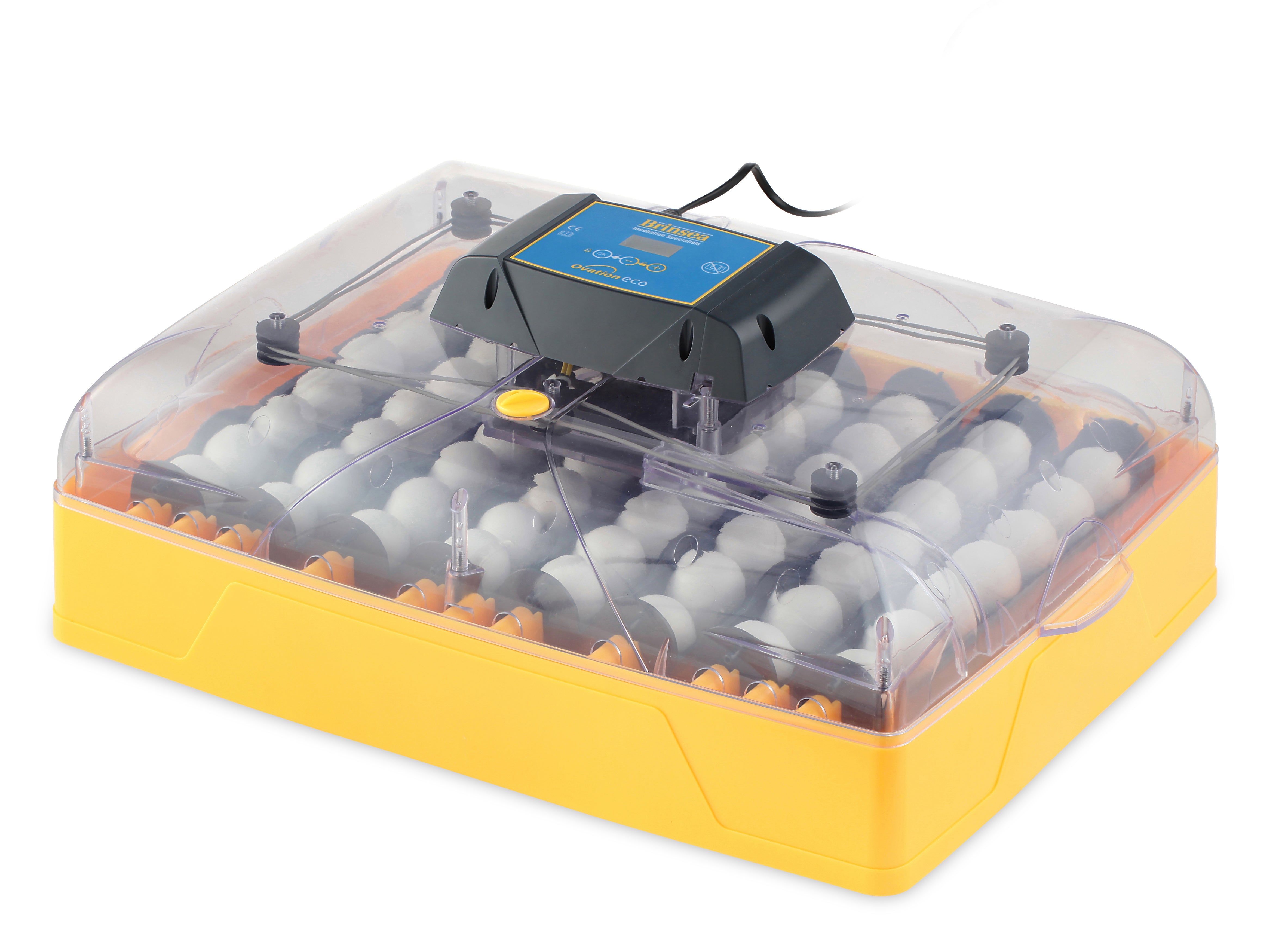 Egg-Incubator "Brinsea Ovation 56 Eco"