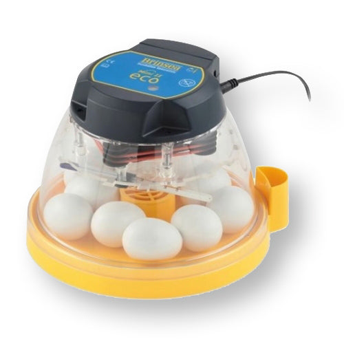 Egg-Incubator "Brinsea Mini Eco"