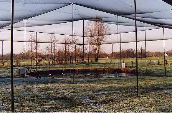 Net (mesh-size: 6cm)