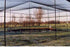 Net (mesh-size: 6cm)
