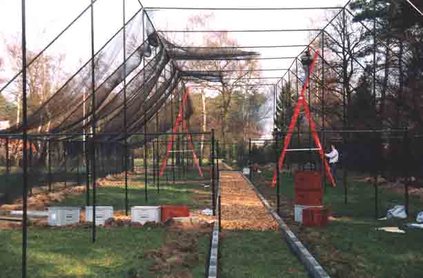 Net (mesh-size: 2,5cm)