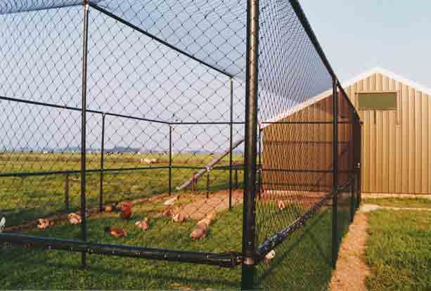Net (mesh-size: 2,5cm)