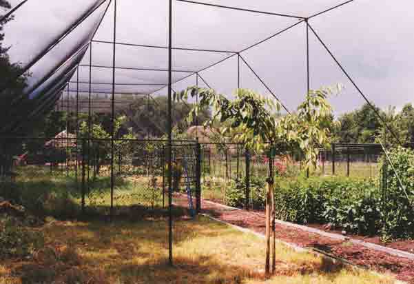 Net (mesh-size: 2,5cm)