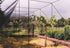 Net (mesh-size: 2,5cm)